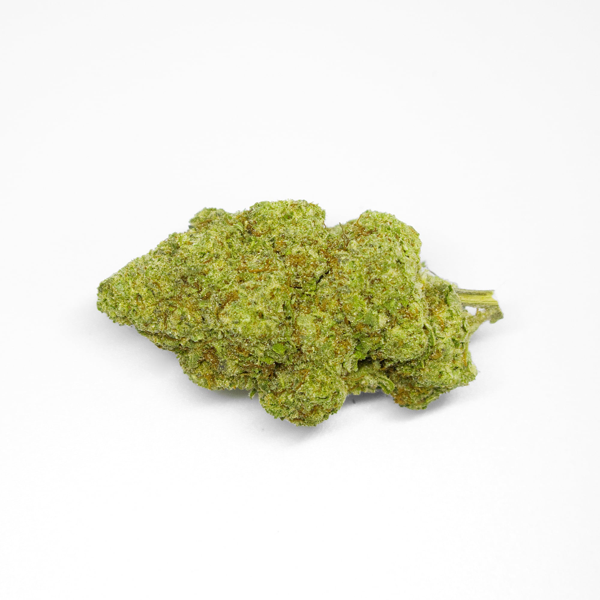 beignets THCa Flower