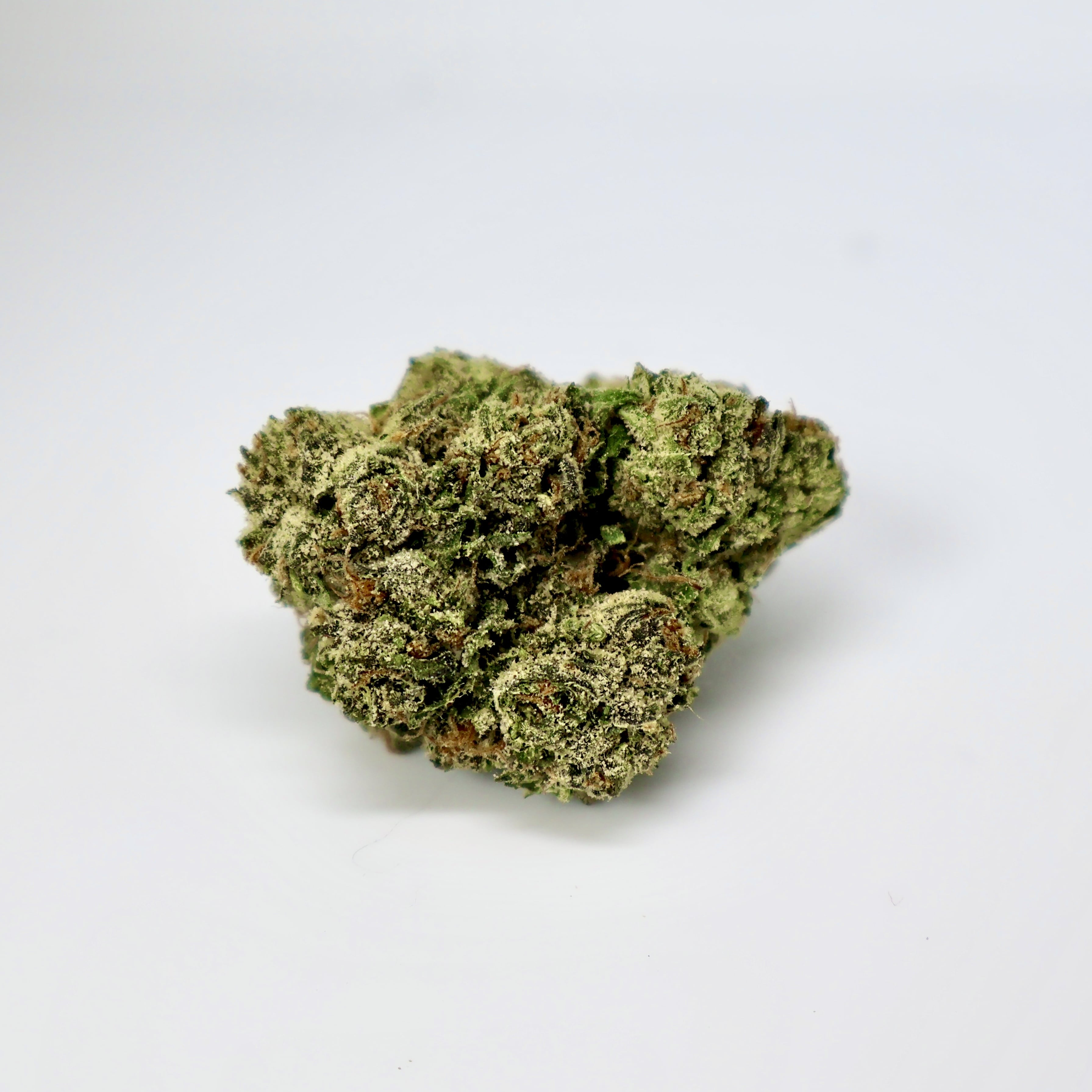 candy panties THCa Flower
