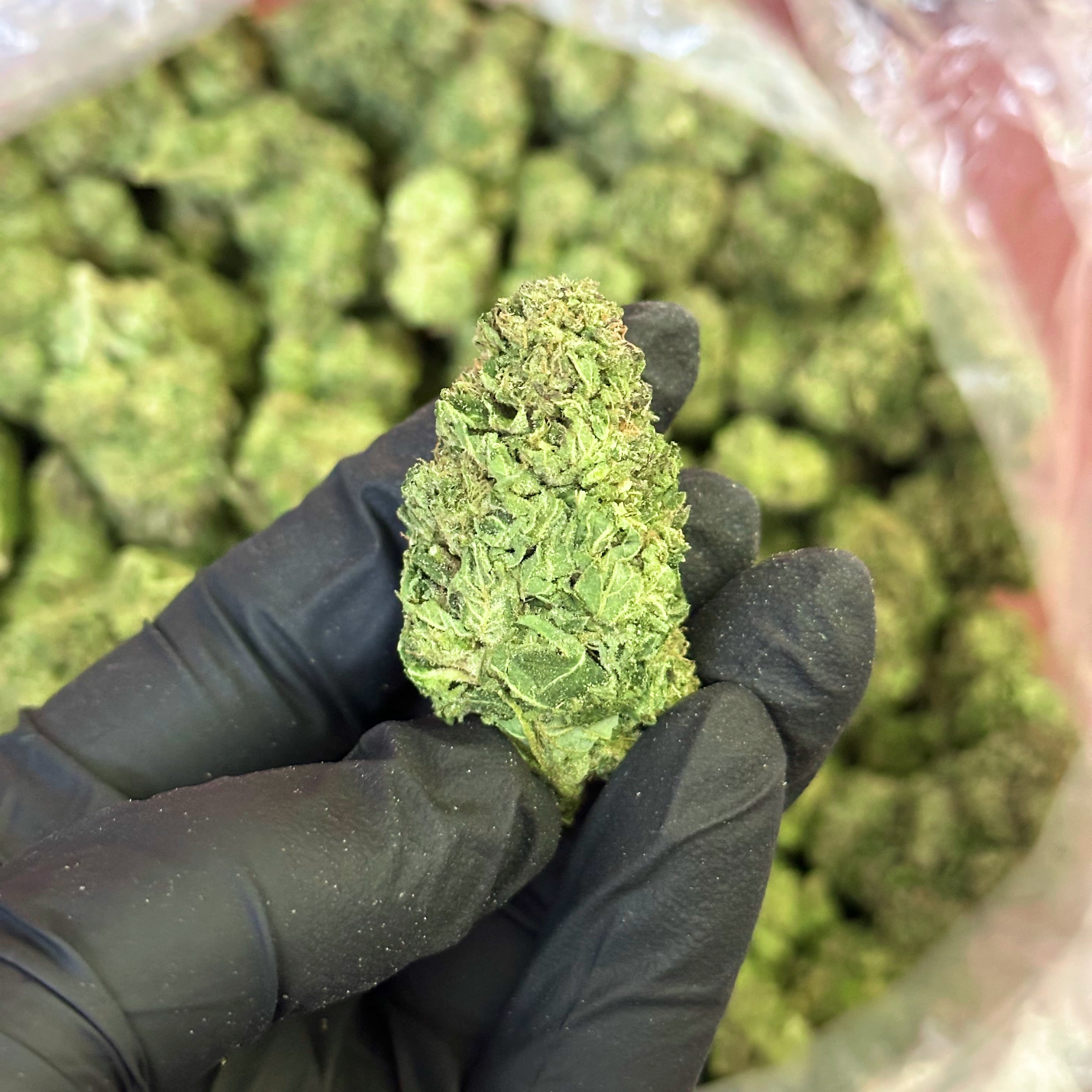 pink runtz THCa Flower