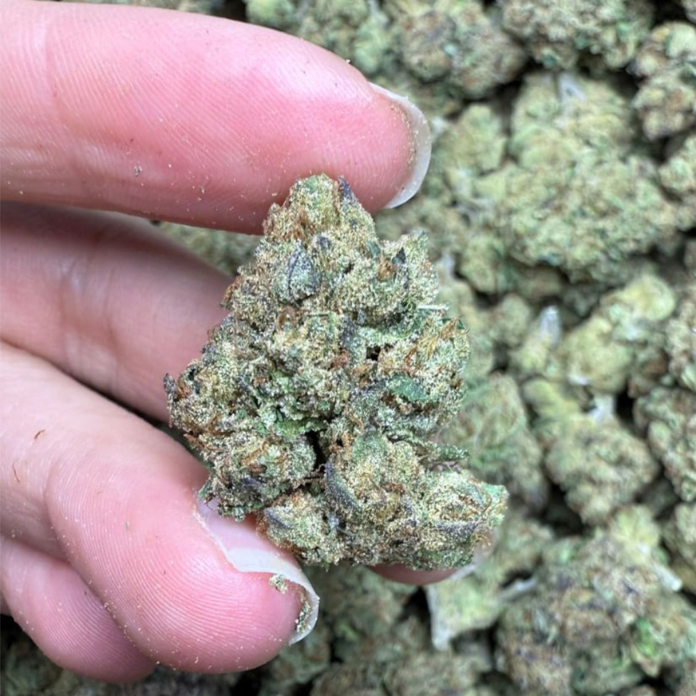 lemon cherry runtz bio THCa Flower