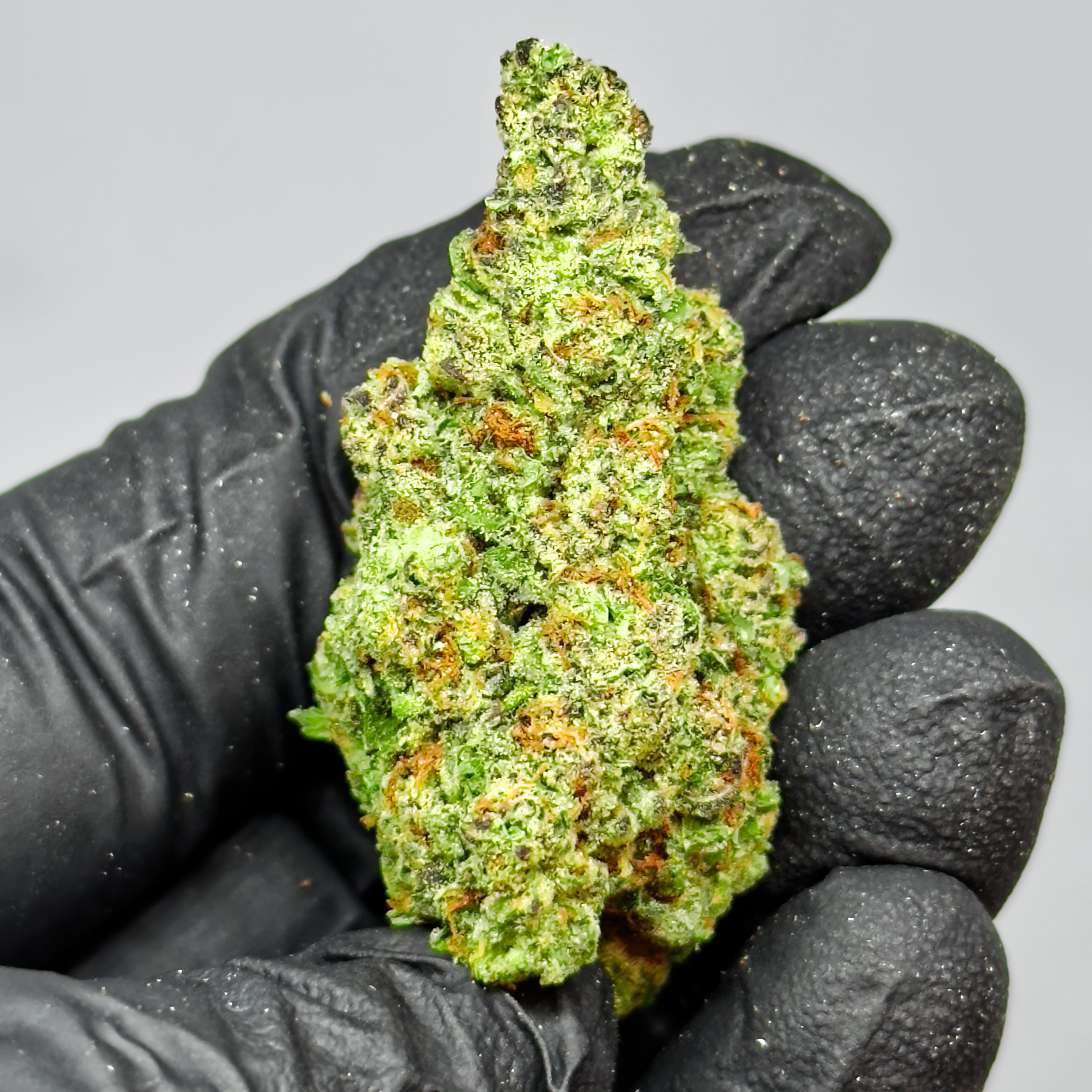 government oasis organic THCa Flower