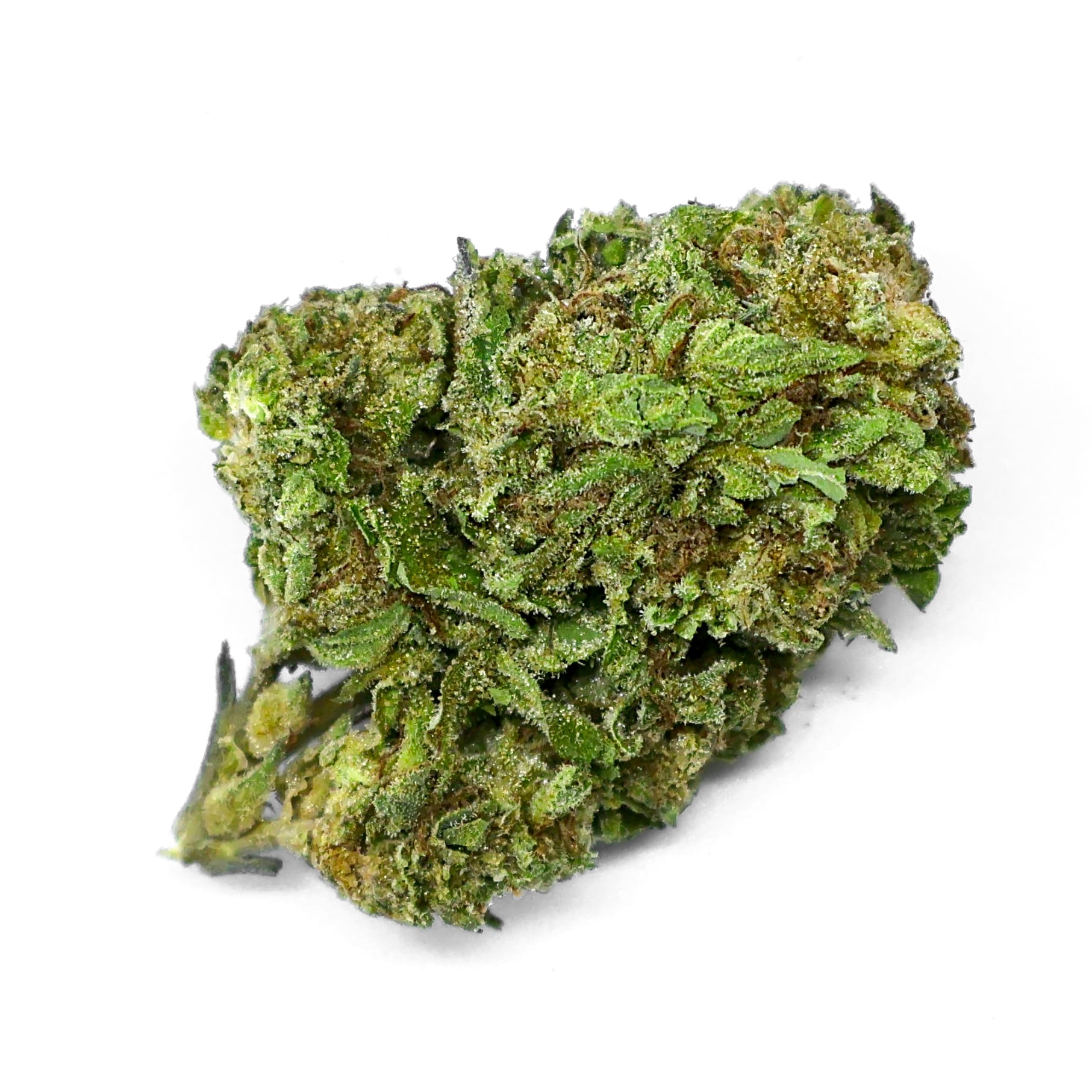 gush candy THCa Flower
