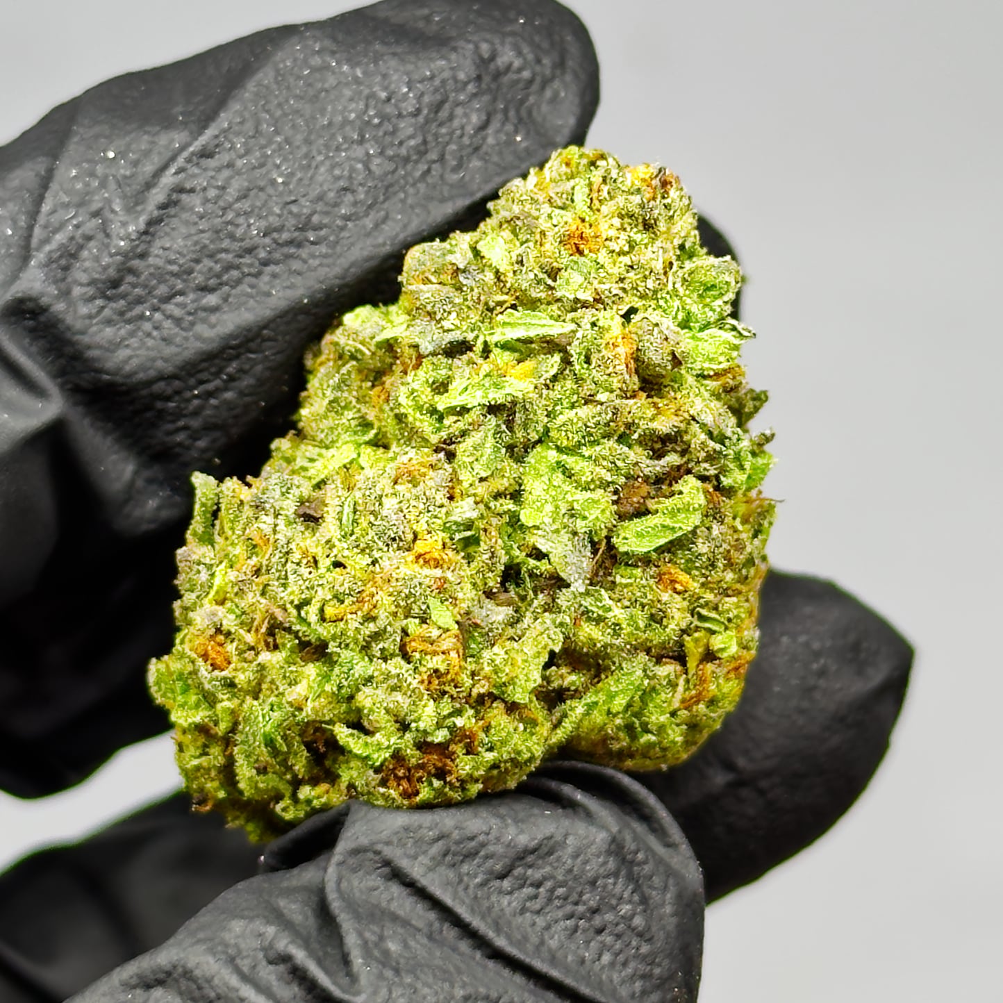 italian icee THCa Flower