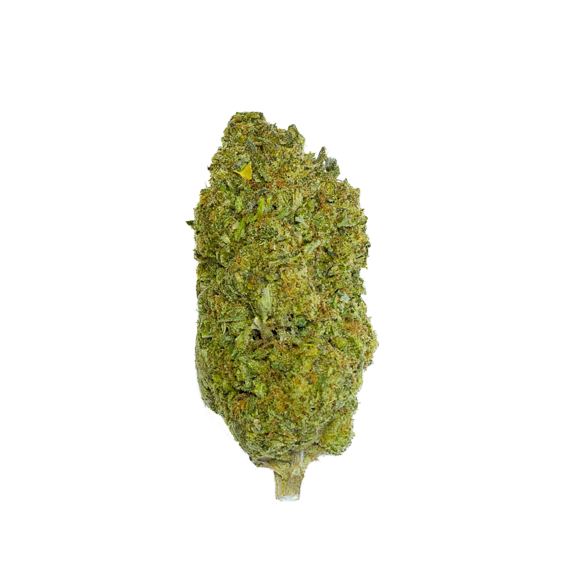 mendo punch THCa Flower