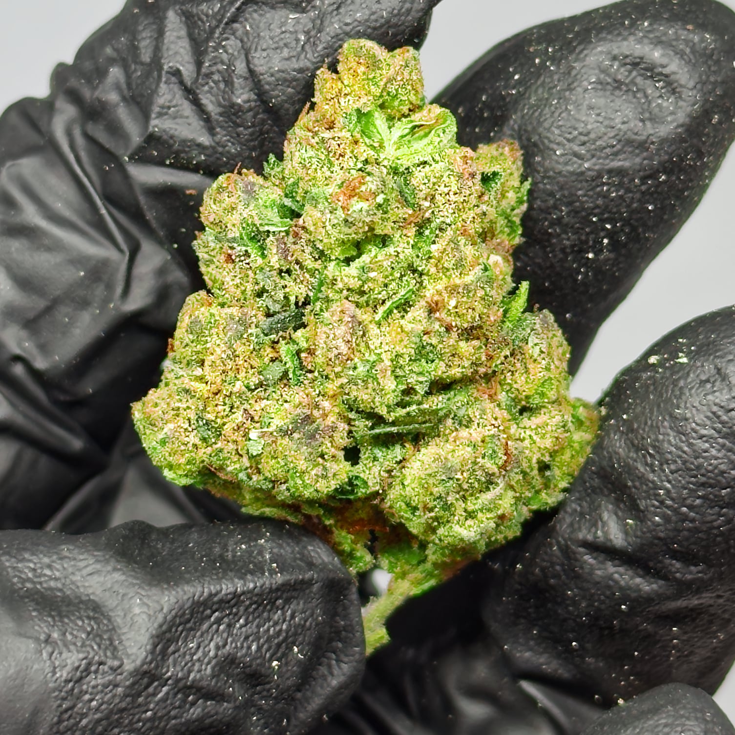 white cherry gelato THCa Flower