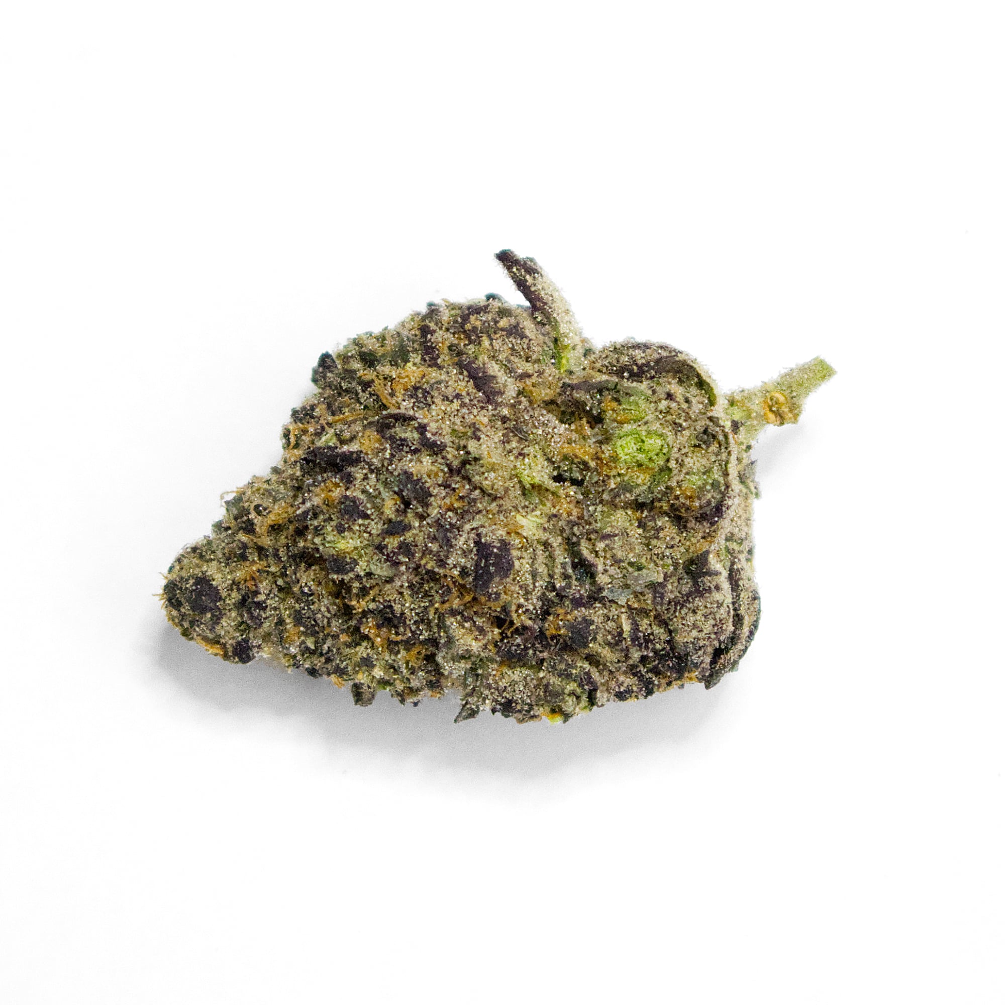 hashberger THCa Flower