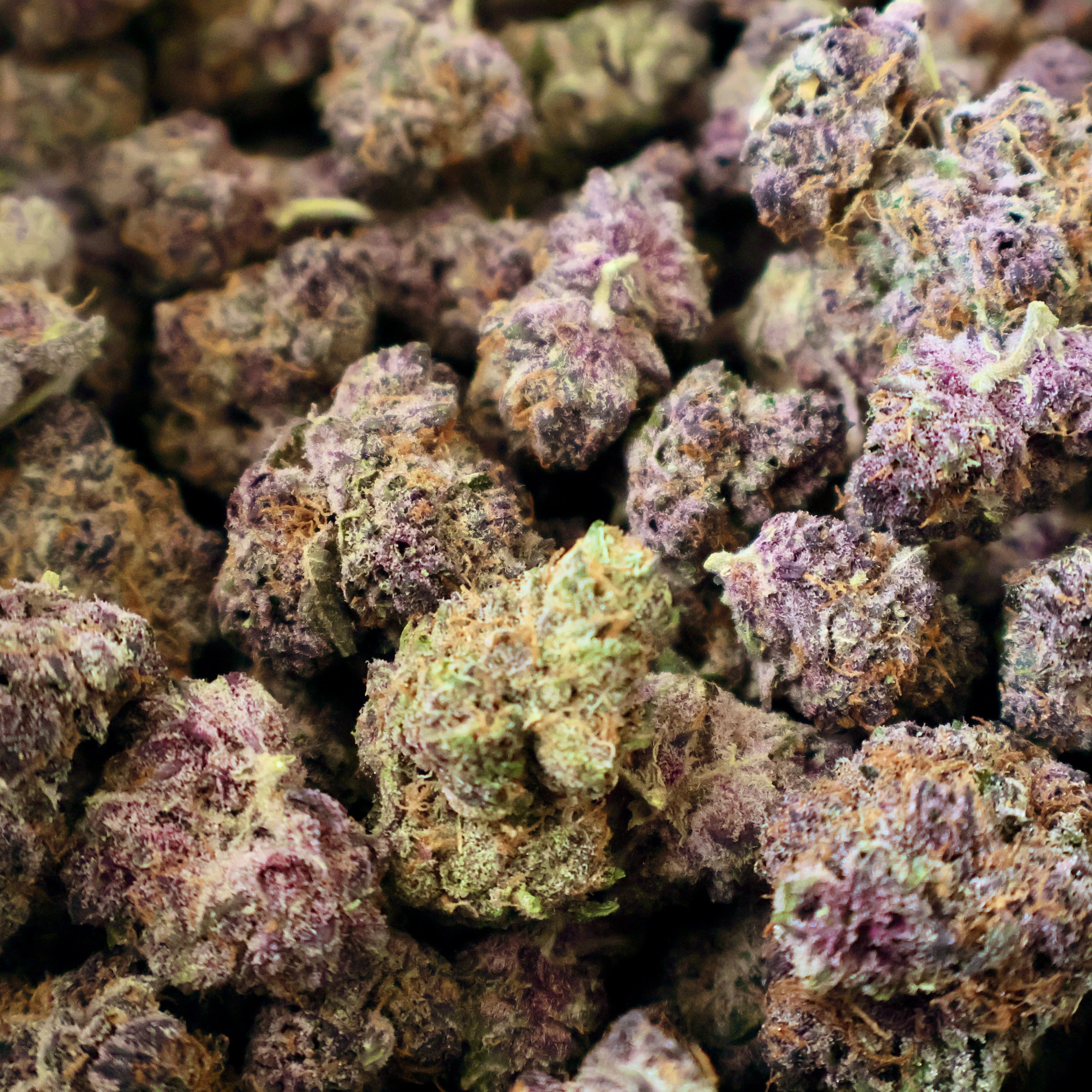 double cherry pie THCa Flower
